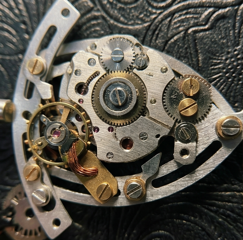 Steampunk Mechanical Fish Bone Framed Art